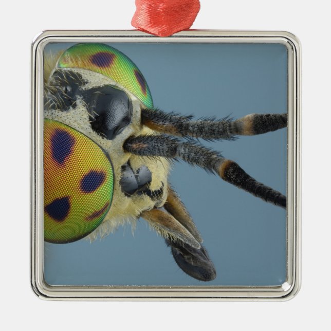 Head of deer fly metal ornament (Front)