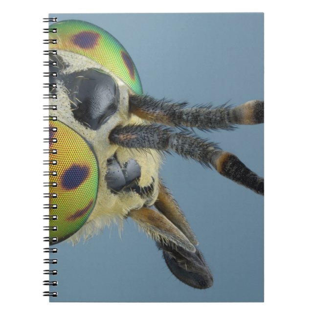 Head of deer fly notebook (Front)