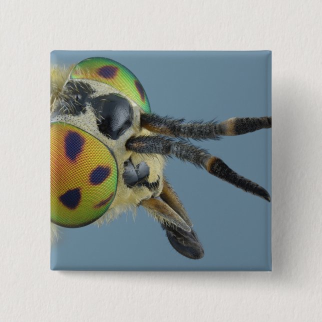 Head of deer fly pinback button (Front)