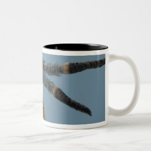Head of deer fly Two-Tone coffee mug