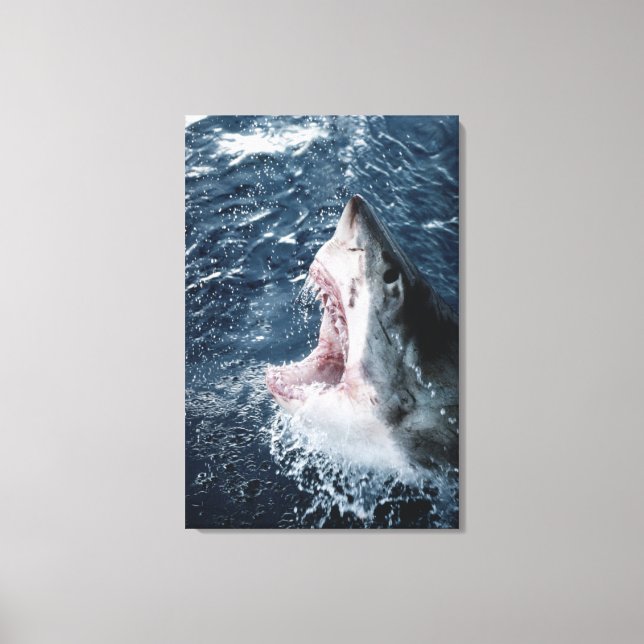 Head of Great White Shark Canvas Print (Front)