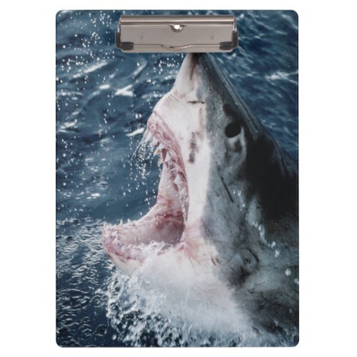 Head of Great White Shark Clipboard