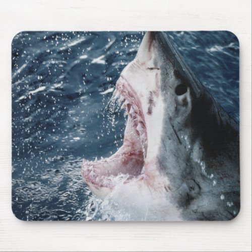 Head of Great White Shark Mouse Pad