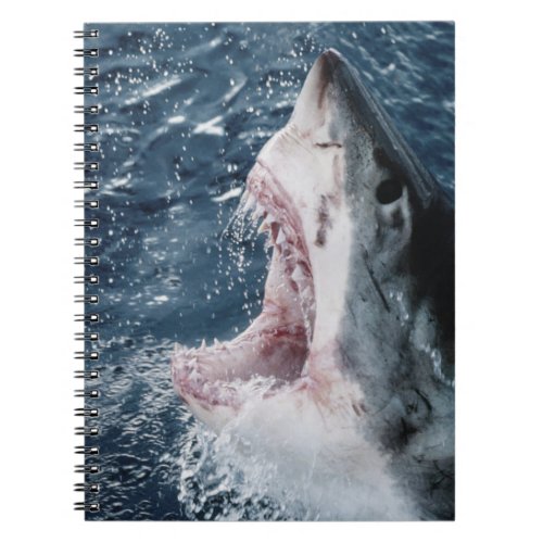 Head of Great White Shark Notebook