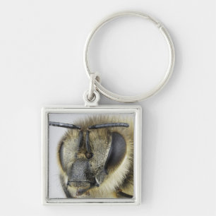 Head of honeybee keychain