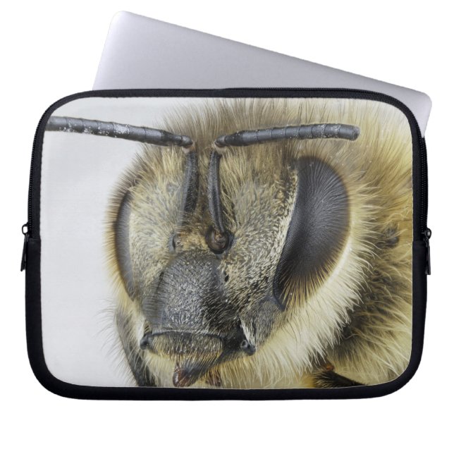 Head of honeybee laptop sleeve (Front)