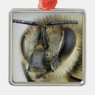 Head of honeybee metal ornament