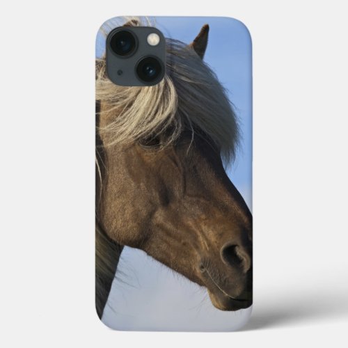 Head of Icelandic horse Iceland iPhone 13 Case