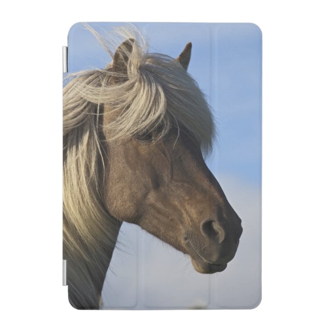 Head of Icelandic horse, Iceland iPad Mini Cover (Front)