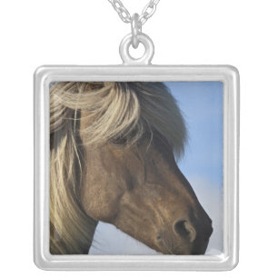 Head of Icelandic horse, Iceland Silver Plated Necklace