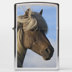 Head of Icelandic horse, Iceland Zippo Lighter