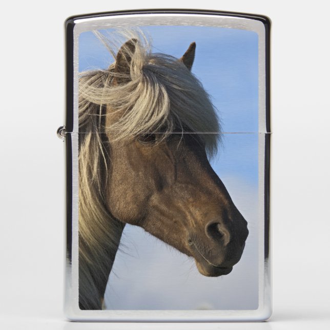 Head of Icelandic horse, Iceland Zippo Lighter (Front)