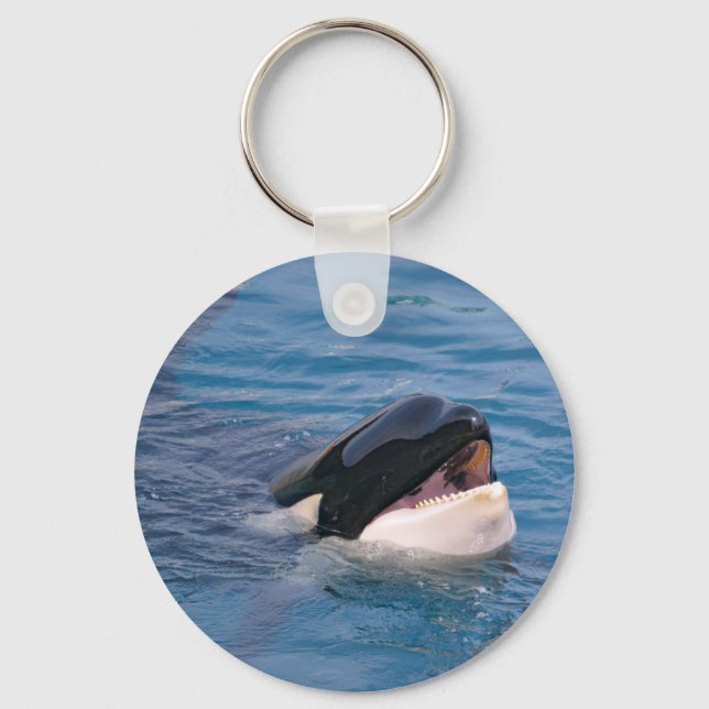 Head of killer whale keychain (Front)