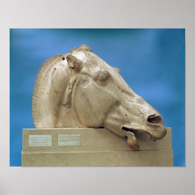 Head of one of the horses of Selene Poster (Front)