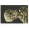 Head of Skeleton with Cigarette by Van Gogh