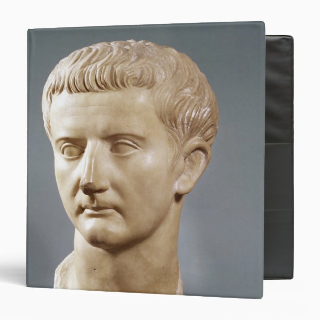 Head of the Emperor Tiberius 3 Ring Binder (Front/Inside)