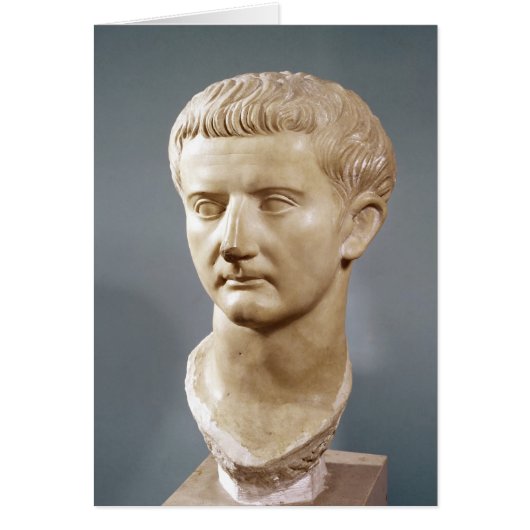 Head of the Emperor Tiberius Cards (Front)