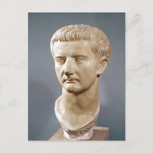 Head of the Emperor Tiberius Postcard