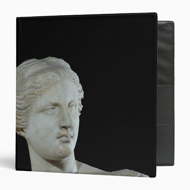 Head of the Venus de Milo, c.100 BC Binder (Front/Inside)