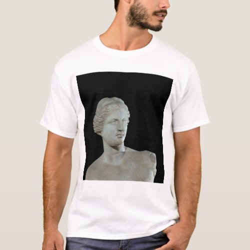 Head of the Venus de Milo c100 BC T_Shirt