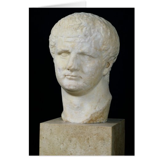 Head of Titus Cards (Front)