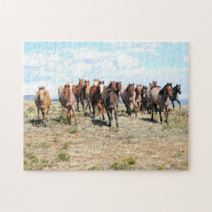 Head-on Herd of Horses puzzle