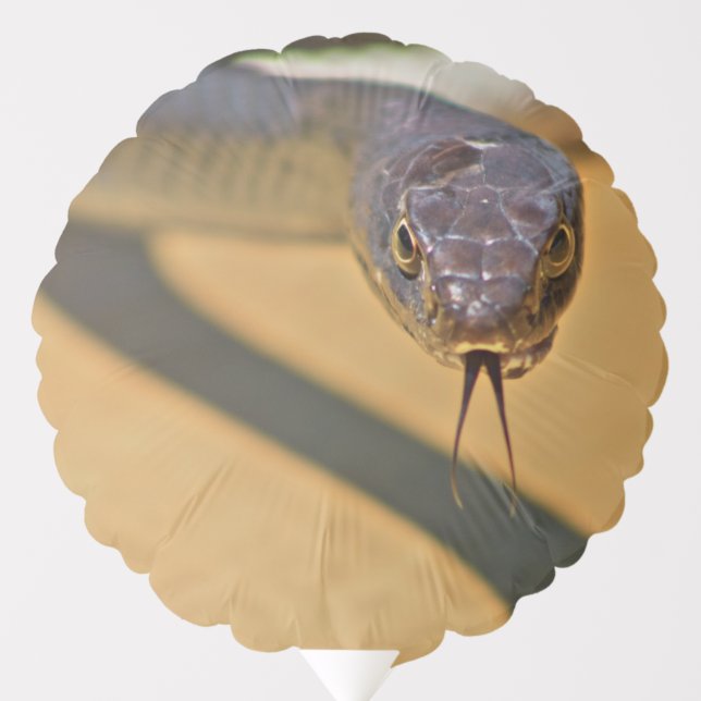 Head on Snake Balloon (Front)