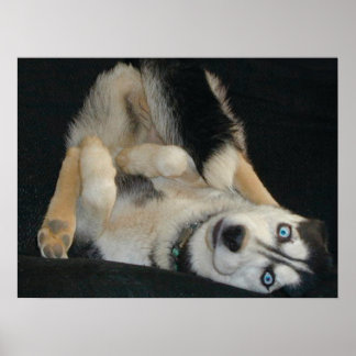 Head Over Heals Poster