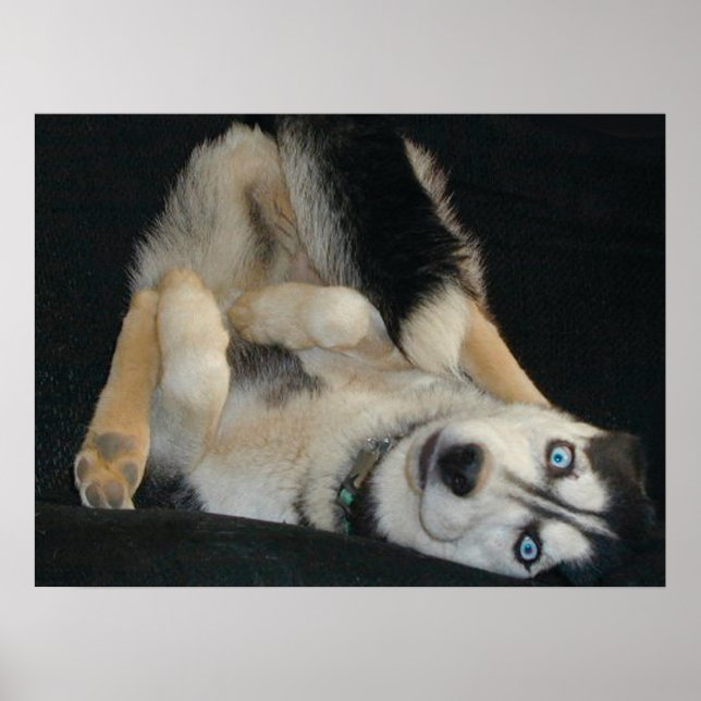 Head Over Heals Poster (Front)