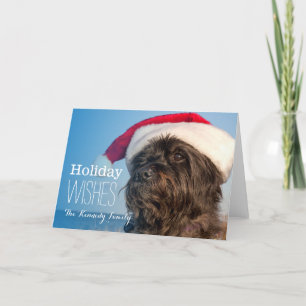 Head portrait of cairn terrier holiday card