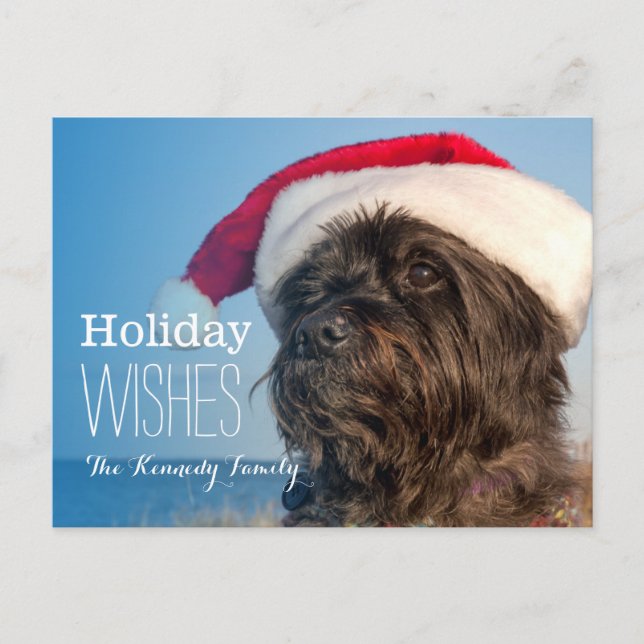 Head portrait of cairn terrier holiday postcard (Front)