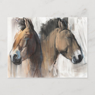 Head Study Postcard