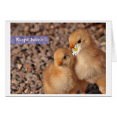 head up (Front Horizontal)