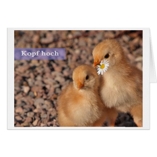 head up (Front Horizontal)