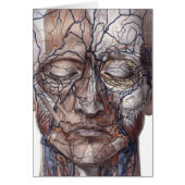 Head Veins and Muscles (Front)