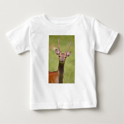 Head Vietnamese sika deer Baby T_Shirt