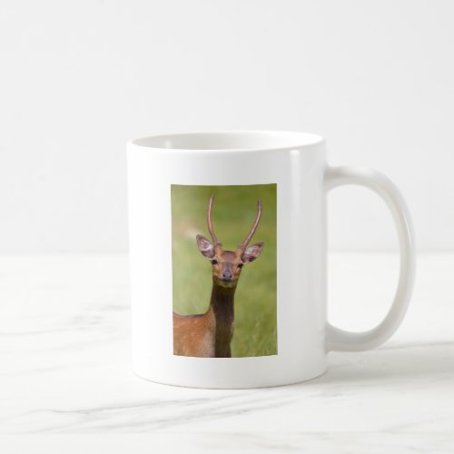 Head Vietnamese sika deer Coffee Mug