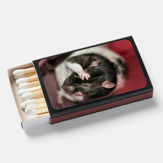 Headache Matchboxes (Front Open)