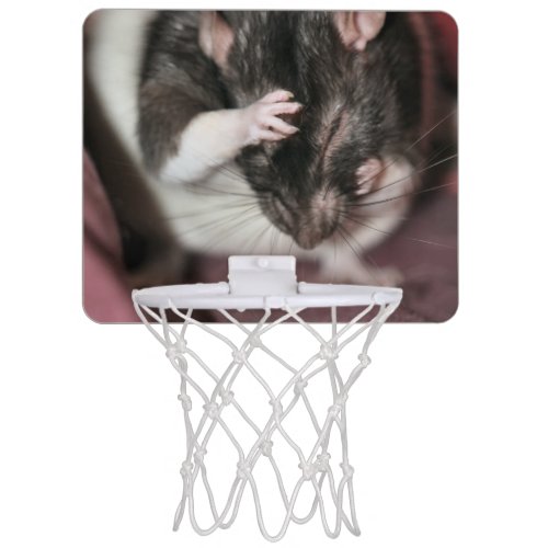 Headache Mini Basketball Hoop