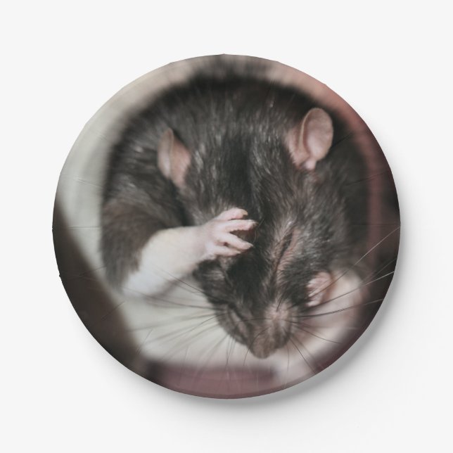 Headache Paper Plates (Front)