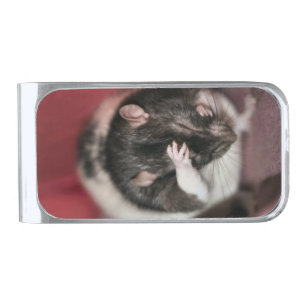 Headache Silver Finish Money Clip