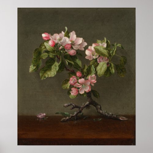 Heade _ Apple Blossoms Poster