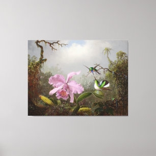HEADE Cattleya Orchid with Brazilian Hummingbirds Canvas Print