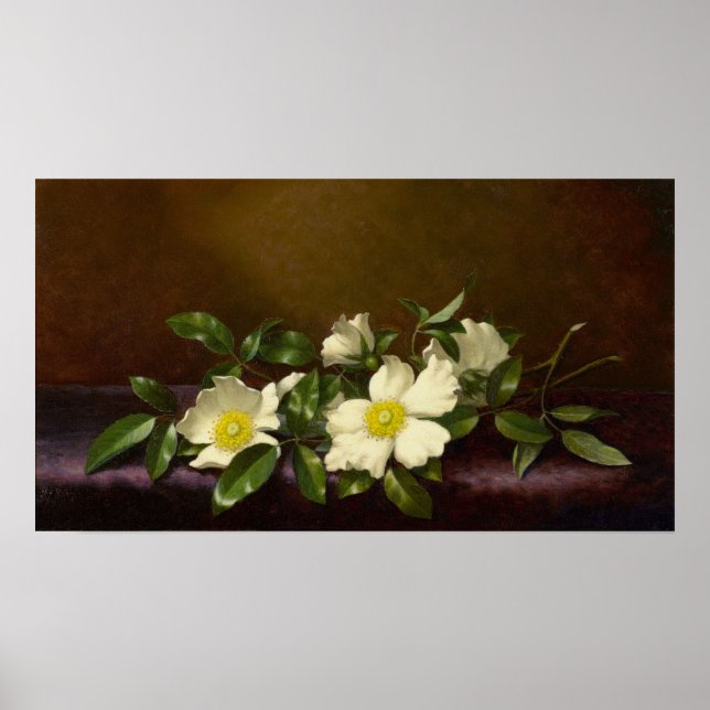 Heade - Cherokee Roses On A Purple Cloth 1894 Poster (Front)