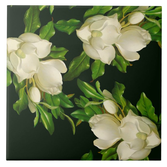 Heade Giant Magnolia Flower Blossoms Ceramic Tile (Front)