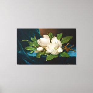 HEADE Giant Magnolias on a Blue Velvet Cloth 1890 Canvas Print