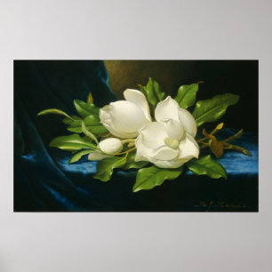Heade - Giant Magnolias On A Blue Velvet Cloth Poster