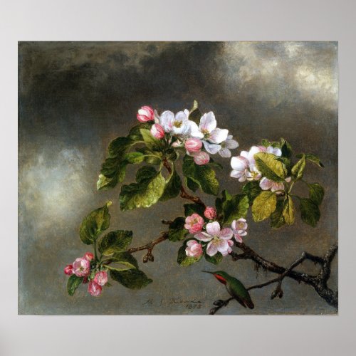 Heade _ Hummingbird And Apple Blossoms Poster