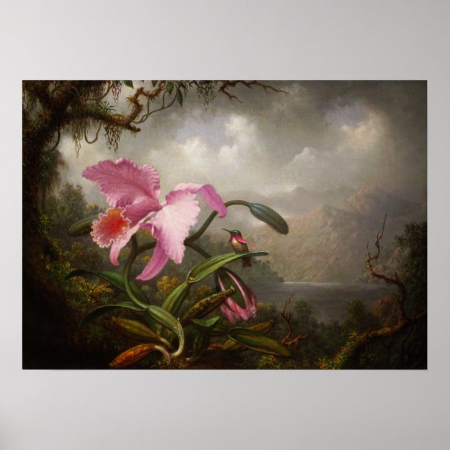 Heade - Orchid And Hummingbird Poster (Front)