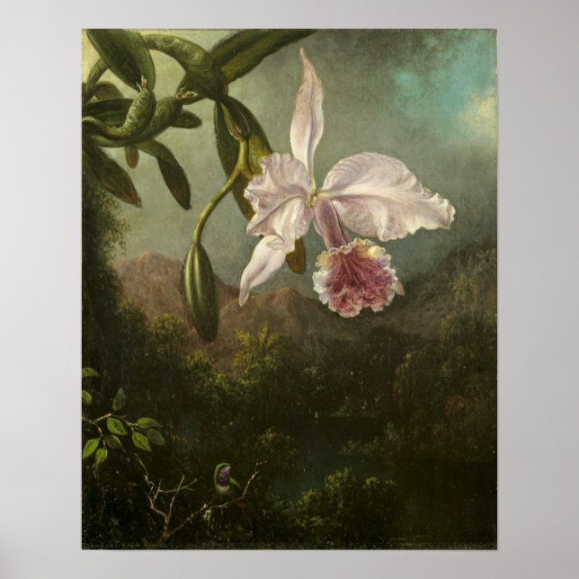 Heade - Orchid Blossoms Poster (Front)